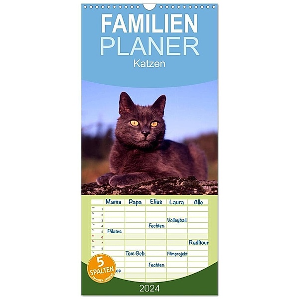 Familienplaner 2024 - Katzen mit 5 Spalten (Wandkalender, 21 x 45 cm) CALVENDO, McPHOTO