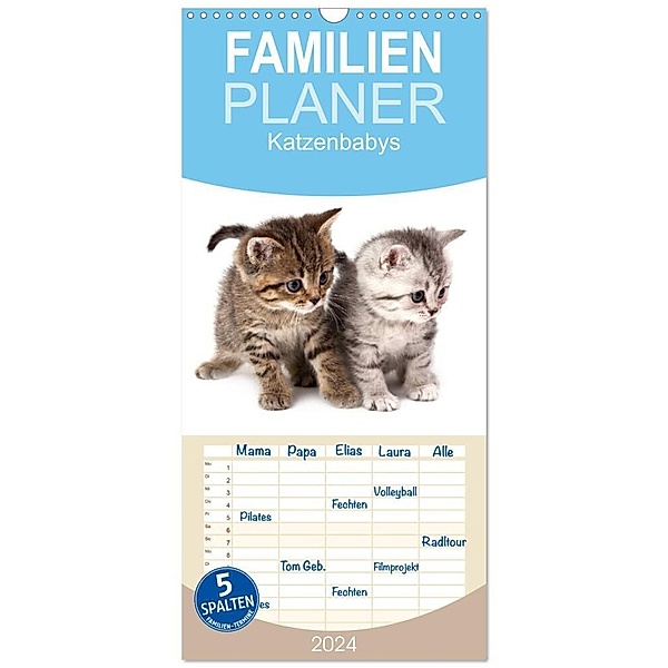 Familienplaner 2024 - Katzenbabys mit 5 Spalten (Wandkalender, 21 x 45 cm) CALVENDO, Hesch-Foto