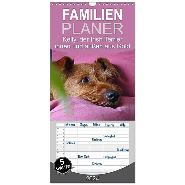 Familienplaner 2024 - Kelly, der Irish Terrier - innen und außen aus Gold mit 5 Spalten (Wandkalender, 21 x 45 cm) CALVENDO, Claudia Schimon