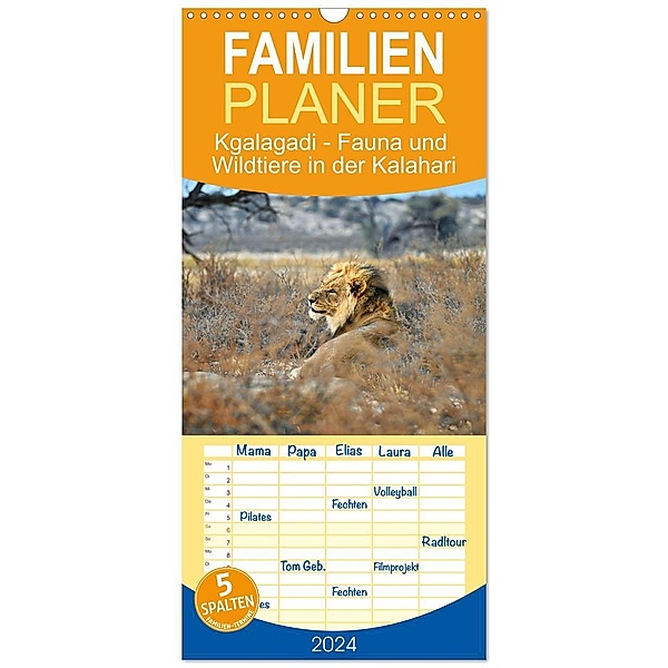 Familienplaner 2024 - Kgalagadi - Fauna und Wildtiere in der Kalahari mit 5 Spalten (Wandkalender, 21 x 45 cm) CALVENDO, Calvendo, Dieter Stahl