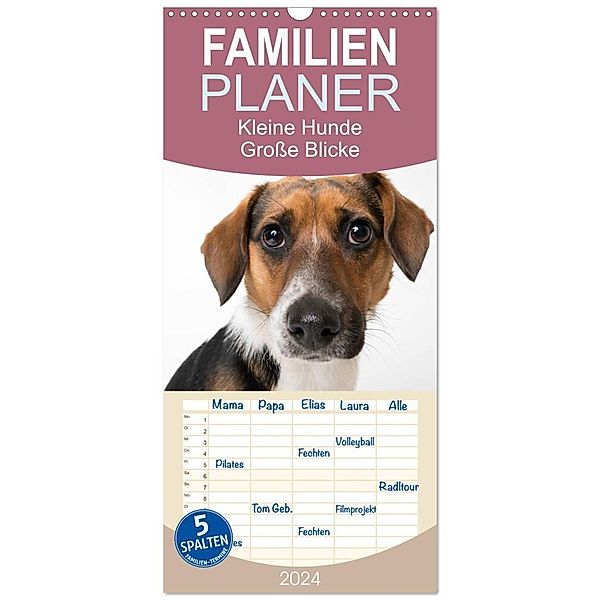 Familienplaner 2024 - Kleine Hunde - Große Blicke mit 5 Spalten (Wandkalender, 21 x 45 cm) CALVENDO, Akrema-Photography
