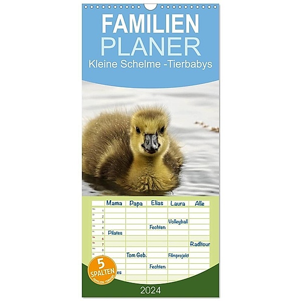 Familienplaner 2024 - Kleine Schelme - Tierbabys mit 5 Spalten (Wandkalender, 21 x 45 cm) CALVENDO, Sigrun Düll
