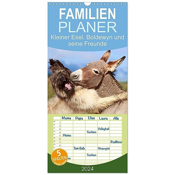 Familienplaner 2024 - Kleiner Esel. Boldewyn und seine Freunde mit 5 Spalten (Wandkalender, 21 x 45 cm) CALVENDO, Elisabeth Stanzer