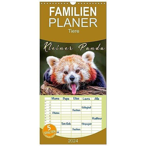 Familienplaner 2024 - Kleiner Panda mit 5 Spalten (Wandkalender, 21 x 45 cm) CALVENDO, Peter Roder