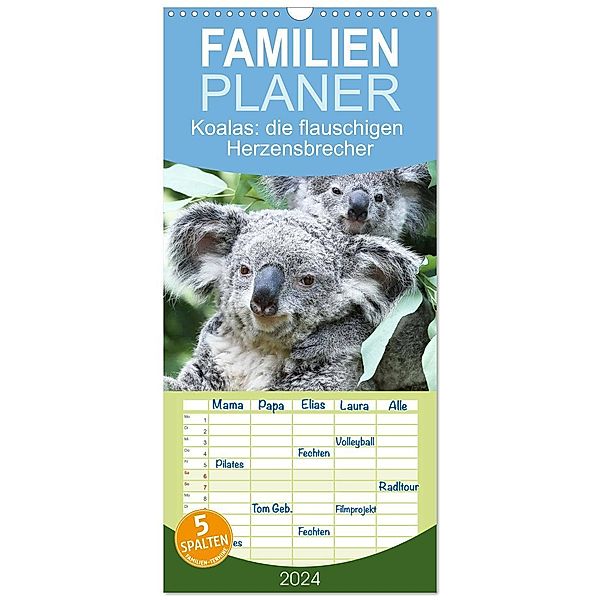 Familienplaner 2024 - Koalas: die flauschigen Herzensbrecher mit 5 Spalten (Wandkalender, 21 x 45 cm) CALVENDO, Calvendo