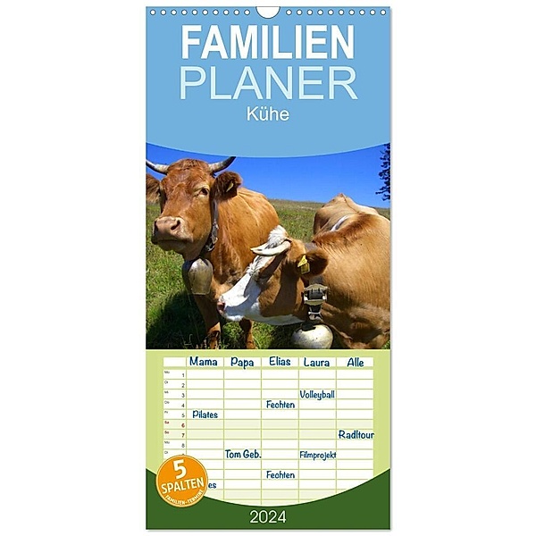 Familienplaner 2024 - Kühe mit 5 Spalten (Wandkalender, 21 x 45 cm) CALVENDO, Elisabeth Stanzer