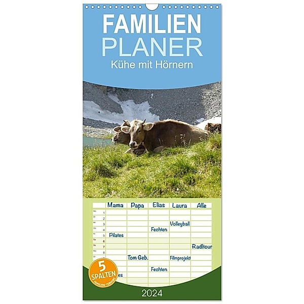 Familienplaner 2024 - Kühe mit Hörnern mit 5 Spalten (Wandkalender, 21 x 45 cm) CALVENDO, Stefanie Goldscheider