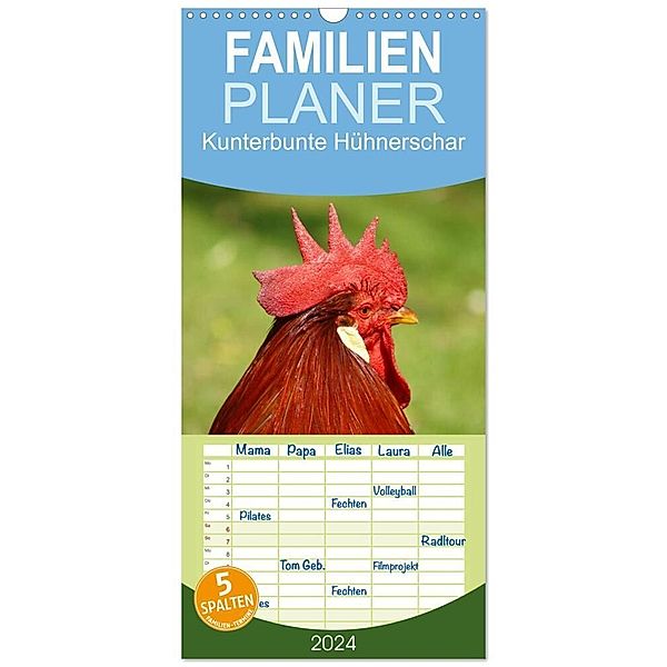 Familienplaner 2024 - Kunterbunte Hühnerschar mit 5 Spalten (Wandkalender, 21 x 45 cm) CALVENDO, Kattobello