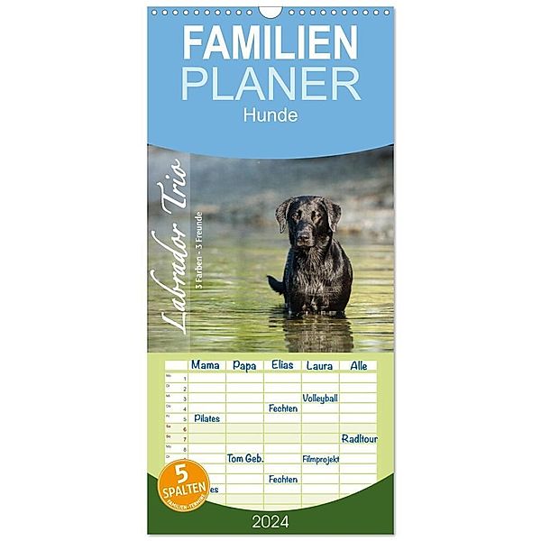 Familienplaner 2024 - Labrador Trio - 3 Farben, 3 Freunde mit 5 Spalten (Wandkalender, 21 x 45 cm) CALVENDO, Cornelia Strunz