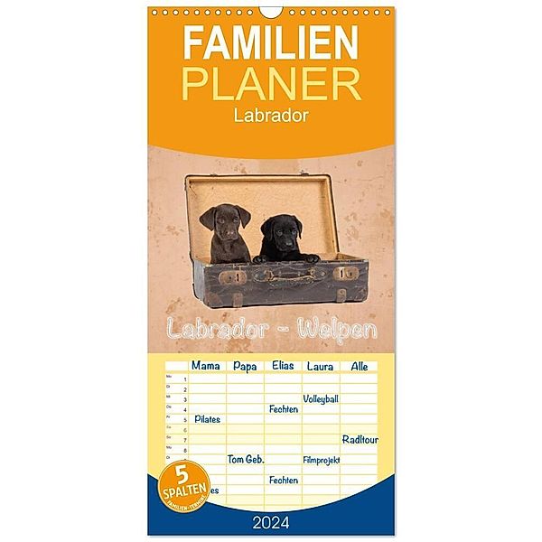 Familienplaner 2024 - Labrador - Welpen mit 5 Spalten (Wandkalender, 21 x 45 cm) CALVENDO, Heiko Eschrich -HeschFoto