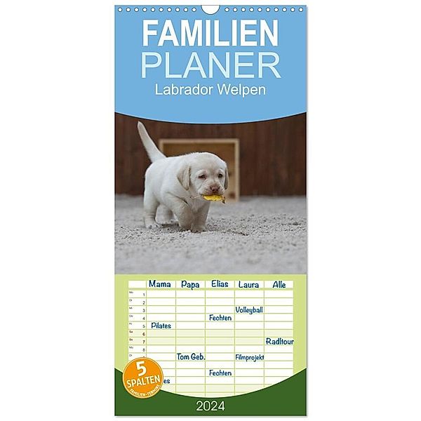 Familienplaner 2024 - Labrador Welpen mit 5 Spalten (Wandkalender, 21 x 45 cm) CALVENDO, Heidi Bollich