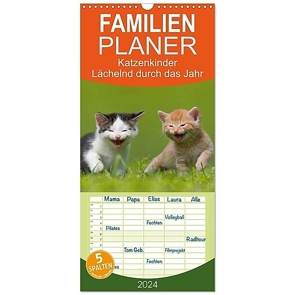 Familienplaner 2024 - Lächelnd durchs Jahr - Katzenkinder -Familienplaner hoch mit 5 Spalten (Wandkalender, 21 x 45 cm) CALVENDO, Susanne Danegger