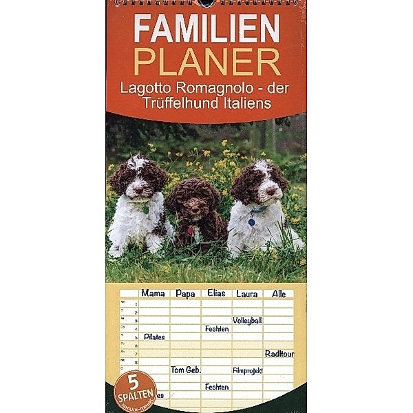 Familienplaner 2024 - Lagotto Romagnolo - der Trüffelhund Italiens mit 5 Spalten (Wandkalender, 21 x 45 cm) CALVENDO, Sigrid Starick