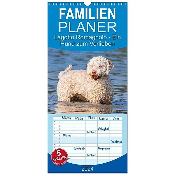 Familienplaner 2024 - Lagotto Romagnolo - Ein Hund zum Verlieben mit 5 Spalten (Wandkalender, 21 x 45 cm) CALVENDO, Calvendo