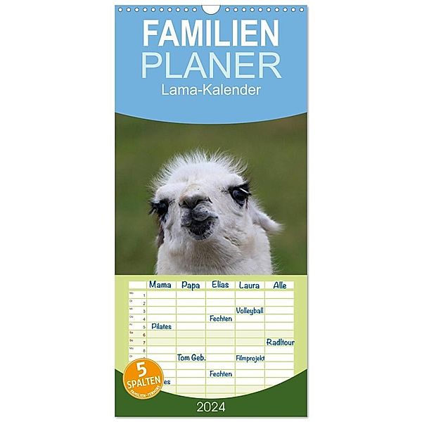 Familienplaner 2024 - Lama-Kalender mit 5 Spalten (Wandkalender, 21 x 45 cm) CALVENDO, Bernd Witkowski