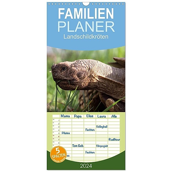 Familienplaner 2024 - Landschildkröten mit 5 Spalten (Wandkalender, 21 x 45 cm) CALVENDO, Marion Sixt