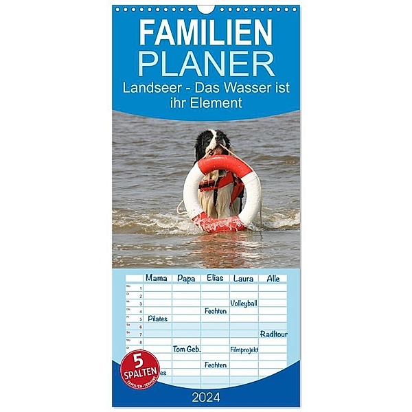Familienplaner 2024 - Landseer - Das Wasser ist ihr Element mit 5 Spalten (Wandkalender, 21 x 45 cm) CALVENDO, Barbara Mielewczyk und Brigitte Weil