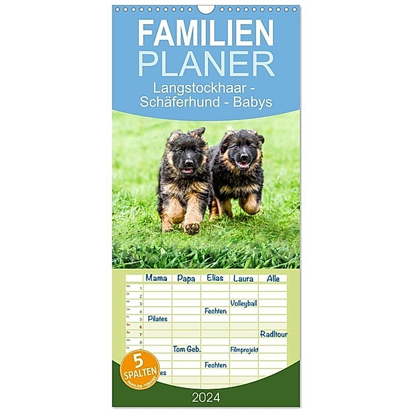 Familienplaner 2024 - Langstockhaar - Schäferhund - Babys mit 5 Spalten (Wandkalender, 21 x 45 cm) CALVENDO, Jana K. Fotografie