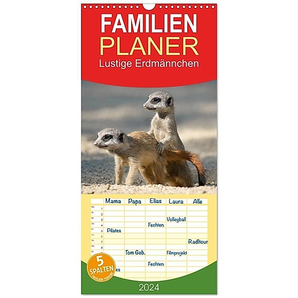 Familienplaner 2024 - Lustige Erdmännchen mit 5 Spalten (Wandkalender, 21 x 45 cm) CALVENDO, Michael Weber