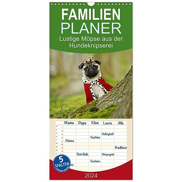 Familienplaner 2024 - Lustige Möpse aus der Hundeknipserei mit 5 Spalten (Wandkalender, 21 x 45 cm) CALVENDO, Kathrin Köntopp