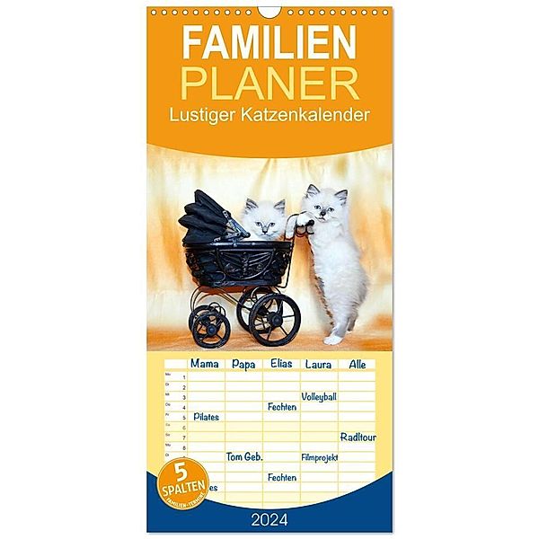 Familienplaner 2024 - Lustiger Katzenkalender mit 5 Spalten (Wandkalender, 21 x 45 cm) CALVENDO, Jennifer Chrystal