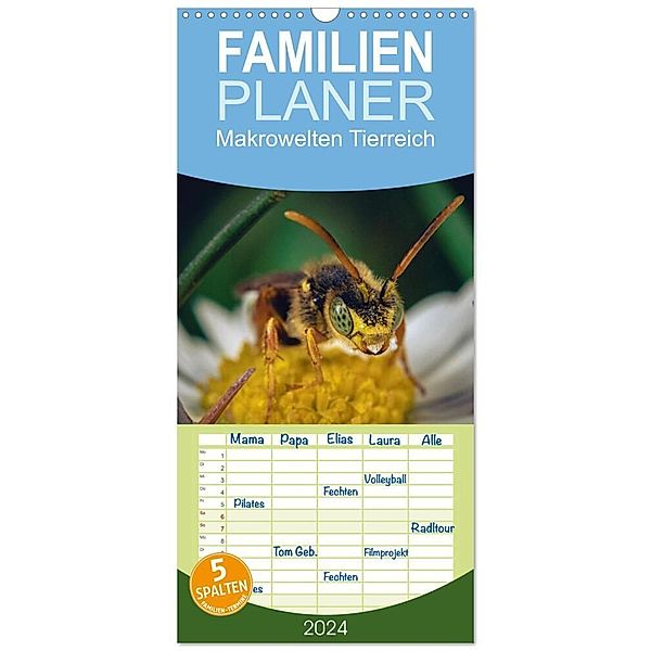 Familienplaner 2024 - Makrowelten Tierreich mit 5 Spalten (Wandkalender, 21 x 45 cm) CALVENDO, Kay Maikowske