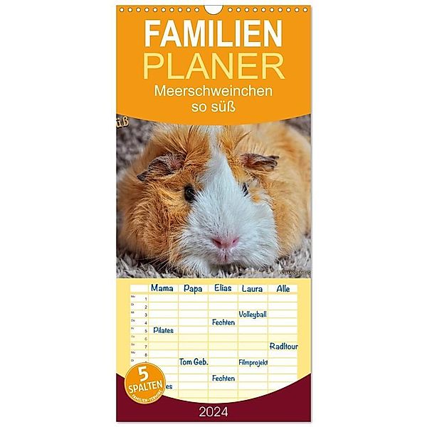 Familienplaner 2024 - Meerschweinchen - so süss mit 5 Spalten (Wandkalender, 21 x 45 cm) CALVENDO, Peter Roder