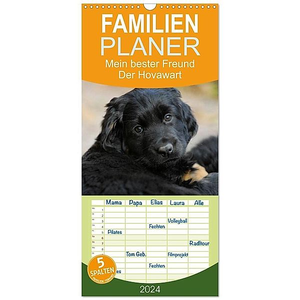 Familienplaner 2024 - Mein bester Freund - Der Hovawart mit 5 Spalten (Wandkalender, 21 x 45 cm) CALVENDO, Sigrid Starick