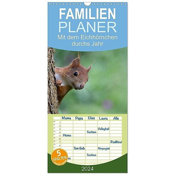 Familienplaner 2024 - Mit dem Eichhörnchen durchs Jahr mit 5 Spalten (Wandkalender, 21 x 45 cm) CALVENDO, Margret Brackhan