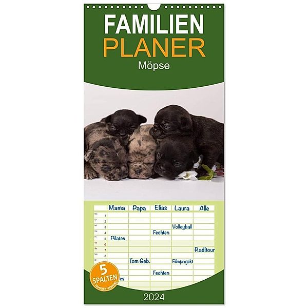 Familienplaner 2024 - Möpse mit 5 Spalten (Wandkalender, 21 x 45 cm) CALVENDO, Yvonne Obermüller Fotografie