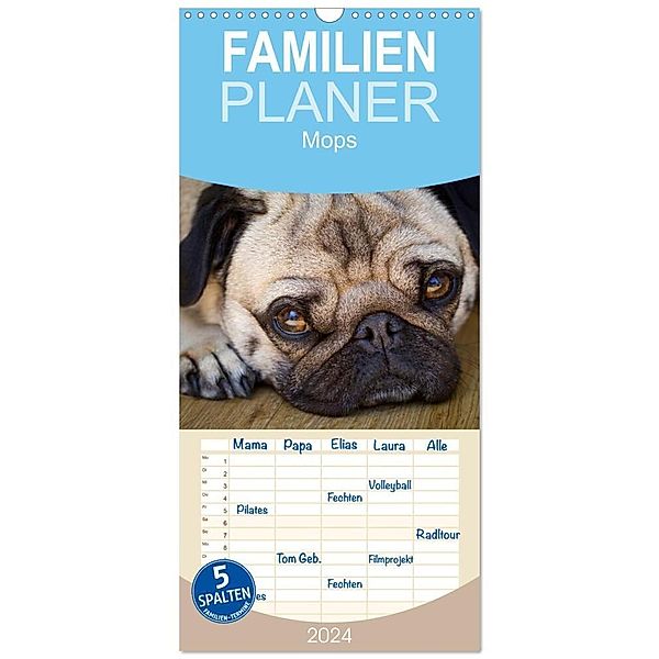 Familienplaner 2024 - Mops mit 5 Spalten (Wandkalender, 21 x 45 cm) CALVENDO, Beate Zoellner