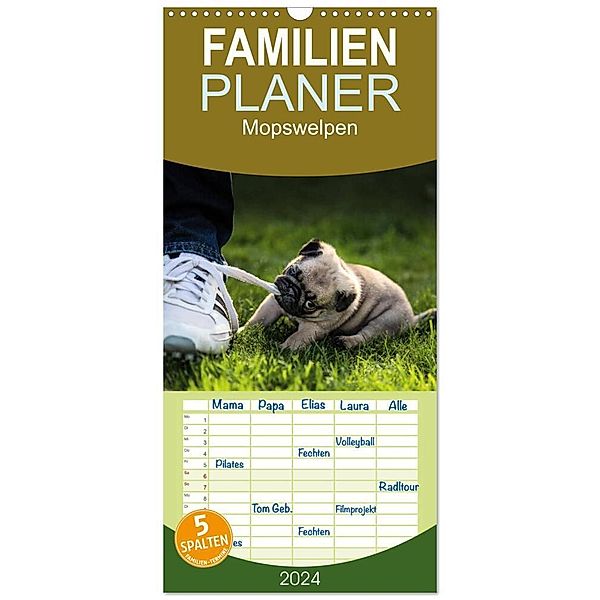 Familienplaner 2024 - Mopswelpen mit 5 Spalten (Wandkalender, 21 x 45 cm) CALVENDO, Ole Dodeck