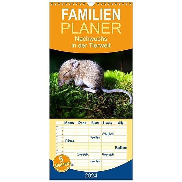 Familienplaner 2024 - Nachwuchs in der Tierwelt mit 5 Spalten (Wandkalender, 21 x 45 cm) CALVENDO, Gugigei