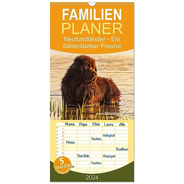 Familienplaner 2024 - Neufundländer - Ein bärenstarker Freund mit 5 Spalten (Wandkalender, 21 x 45 cm) CALVENDO, Sigrid Starick