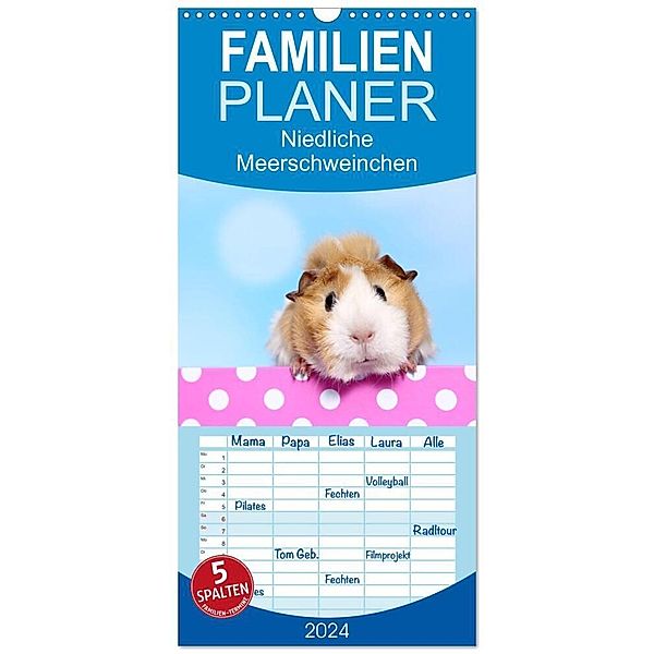 Familienplaner 2024 - Niedliche Meerschweinchen mit 5 Spalten (Wandkalender, 21 x 45 cm) CALVENDO, Jeanette Hutfluss