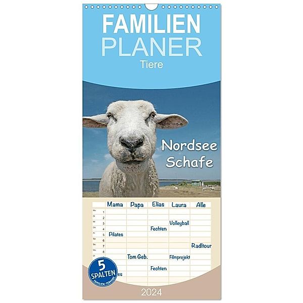 Familienplaner 2024 - Nordsee Schafe mit 5 Spalten (Wandkalender, 21 x 45 cm) CALVENDO, Andrea Wilken