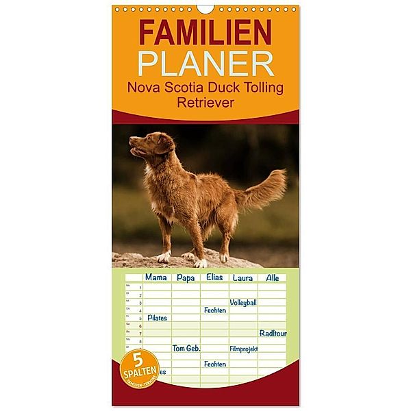 Familienplaner 2024 - Nova Scotia Duck Tolling Retriever mit 5 Spalten (Wandkalender, 21 x 45 cm) CALVENDO, Beatrice Müller Hundefotowerk