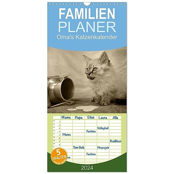 Familienplaner 2024 - Oma's Katzenkalender 2024 mit 5 Spalten (Wandkalender, 21 x 45 cm) CALVENDO, Sylvia Säume