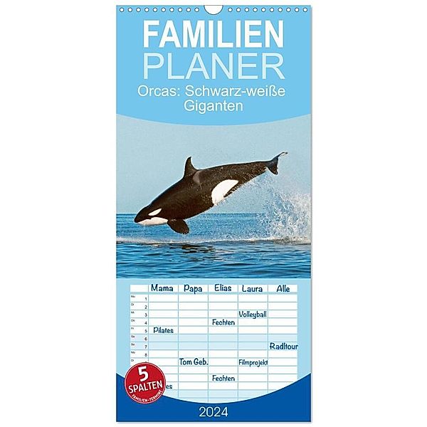 Familienplaner 2024 - Orcas: Schwarz-weisse Giganten mit 5 Spalten (Wandkalender, 21 x 45 cm) CALVENDO, Calvendo