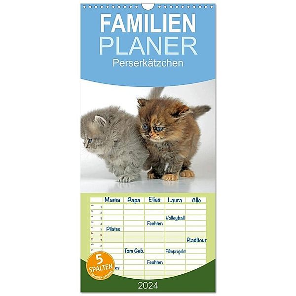 Familienplaner 2024 - Perserkätzchen mit 5 Spalten (Wandkalender, 21 x 45 cm) CALVENDO, Klaus Eppele