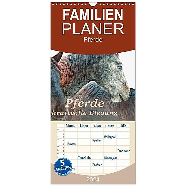 Familienplaner 2024 - Pferde - kraftvolle Eleganz mit 5 Spalten (Wandkalender, 21 x 45 cm) CALVENDO, Liselotte Brunner-Klaus