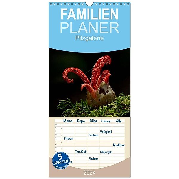 Familienplaner 2024 - Pilzgalerie mit 5 Spalten (Wandkalender, 21 x 45 cm) CALVENDO, Beate Wurster