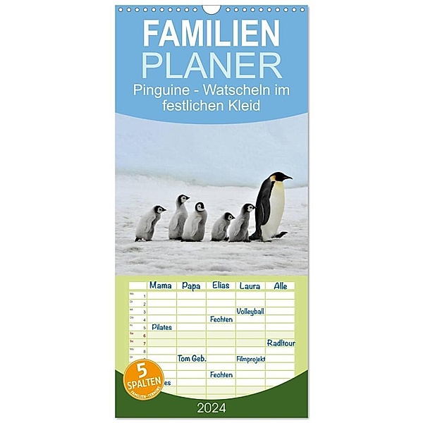 Familienplaner 2024 - Pinguine - Watscheln im festlichen Kleid mit 5 Spalten (Wandkalender, 21 x 45 cm) CALVENDO, Elisabeth Stanzer