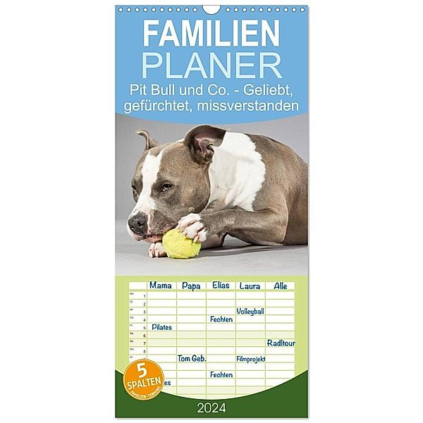 Familienplaner 2024 - Pit Bull und Co. - Geliebt, gefürchtet, missverstanden mit 5 Spalten (Wandkalender, 21 x 45 cm) CALVENDO, Elisabeth Stanzer