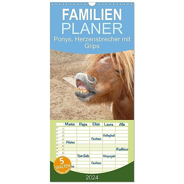 Familienplaner 2024 - Ponys. Herzensbrecher mit Grips mit 5 Spalten (Wandkalender, 21 x 45 cm) CALVENDO, Elisabeth Stanzer