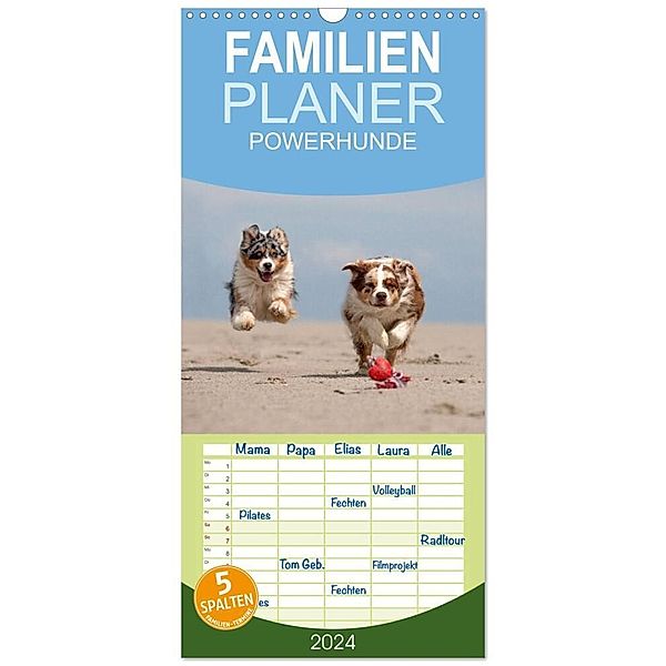 Familienplaner 2024 - POWERHUNDE 2024 mit 5 Spalten (Wandkalender, 21 x 45 cm) CALVENDO, Annett Mirsberger