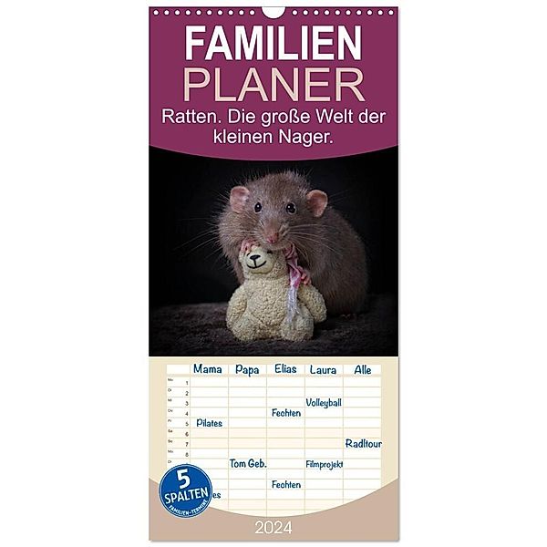 Familienplaner 2024 - Ratten. Die grosse Welt der kleinen Nager mit 5 Spalten (Wandkalender, 21 x 45 cm) CALVENDO, Thorsten Nilson