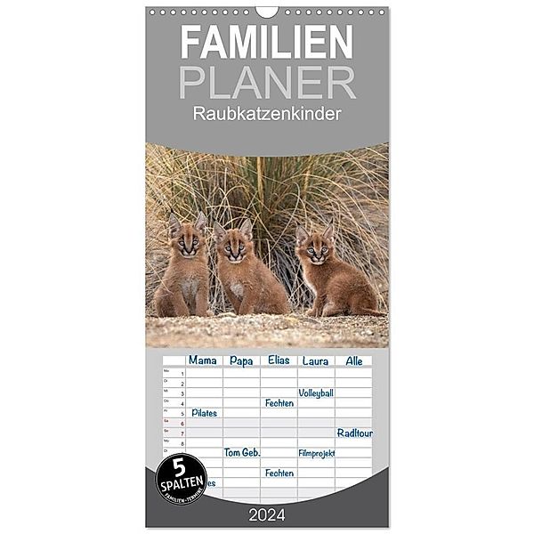 Familienplaner 2024 - Raubkatzenkinder mit 5 Spalten (Wandkalender, 21 x 45 cm) CALVENDO, Marion Vollborn