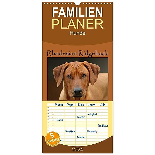 Familienplaner 2024 - Rhodesian Ridgeback Terminkalender mit 5 Spalten (Wandkalender, 21 x 45 cm) CALVENDO, Anke van Wyk - www.germanpix.net
