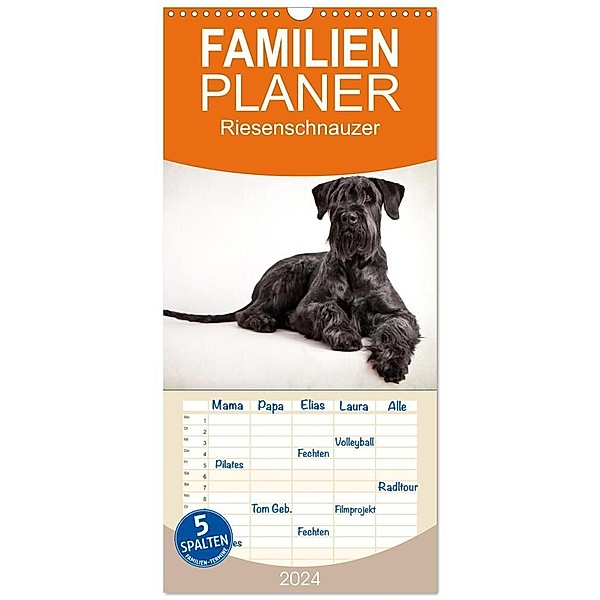 Familienplaner 2024 - Riesenschnauzer... charakterstarke Hunde mit 5 Spalten (Wandkalender, 21 x 45 cm) CALVENDO, Martina Wrede - Wredefotografie